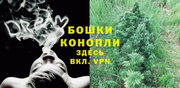 амф Гусиноозёрск
