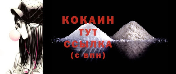 амф Гусиноозёрск