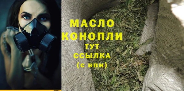 амф Гусиноозёрск