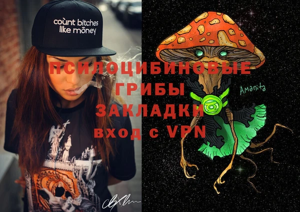 амф Гусиноозёрск