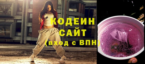 амф Гусиноозёрск