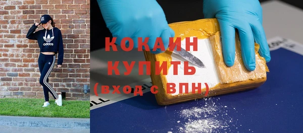 амф Гусиноозёрск