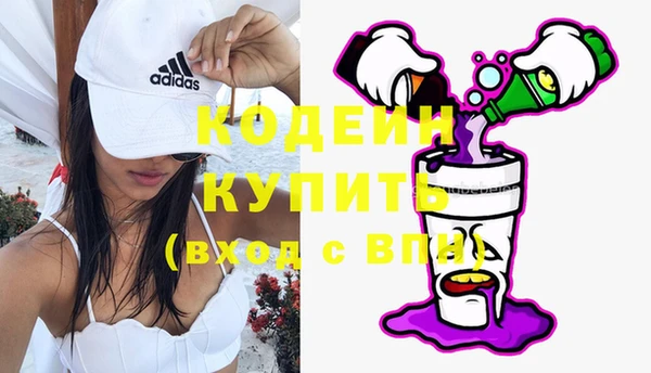 амф Гусиноозёрск
