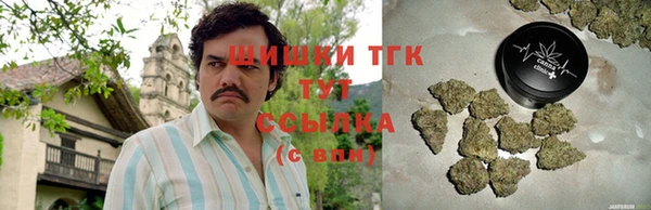 амф Гусиноозёрск
