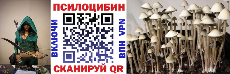 сайты даркнета официальный сайт  mega ONION  Заполярный  Псилоцибиновые грибы ЛСД 
