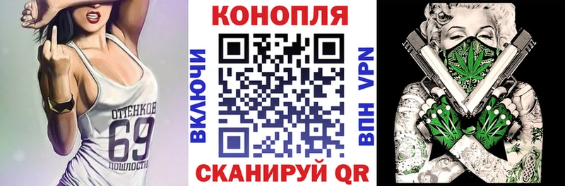 Каннабис сатива  Заполярный 
